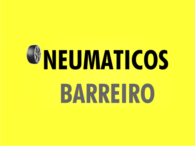 neumaticos_barreiro_logo