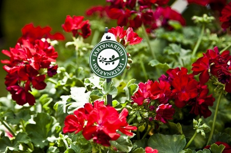 19_casaplanta_01 19_casaplanta_01