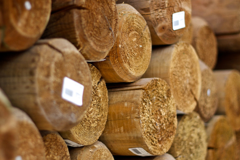 19_casaplanta_02 19_casaplanta_02