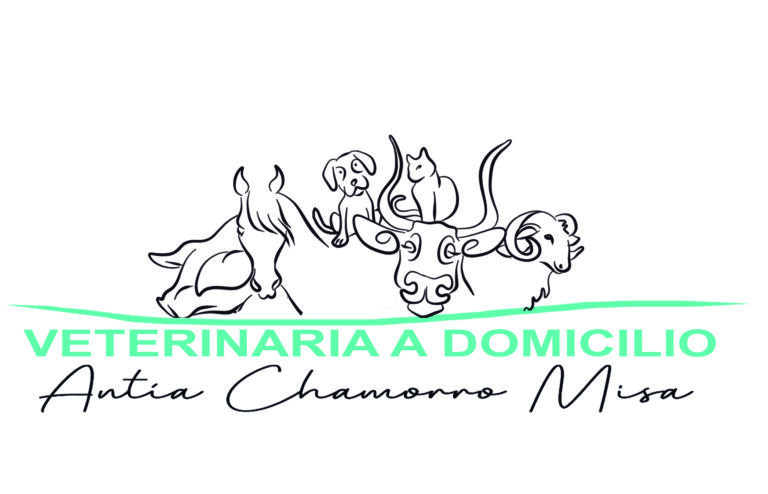 LOGO ANTIA VETERINARIA 768x494